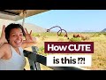 SAFARI in Kenya - BEST SAFARI experience in Samburu National Reserve EVER (Kenya Travel Vlog)