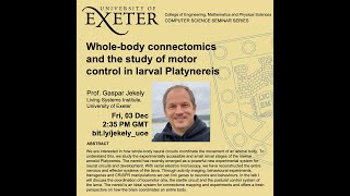 Whole-body connectomics and the study of motor control in larval Platynereis