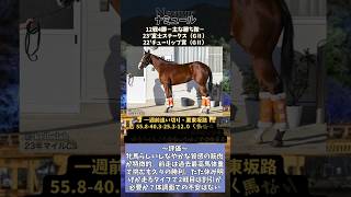 【マイルCS2023】一週前追い切り・フォトパドック総合評価 #マイルチャンピオンシップ #競馬予想 #馬体診断 #マイルcs #ナミュール