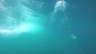 Underwater Downrigger Cam Camera Footage - See Salmon Stike at  Lure (meat rig), 2013