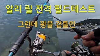 알리 릴 필드 테스트 - 그런데 꽝을 곁들인.... OTL