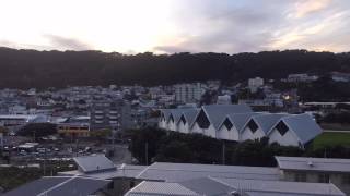 Wellington Morning