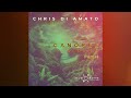 chris di amato canopée ocean gaya remix