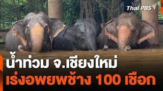 น้ำท่วมเชียงใหม่ เร่งอพยพช้าง 100 เชือก | จับตาสถานการณ์ | 4 ต.ค. 67