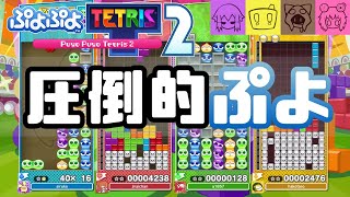 【ぷよぷよテトリス２】ぷよぷよ代表現る