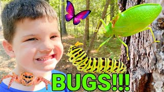 Caleb & Mommy Play and Find REAL BUGS Outside! KiD BUG HUNT in THE WOODS!