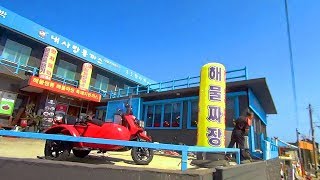 韓國濟州島牛島2/19搭循環巴士往東岸 U-DO Island, Jeju Island (South Korea)