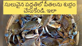 How to clean crabs Peethalu Cleaning | పీతలని ఈ విధంగా క్లీన్ చేయండి. GHANTASALA vlog