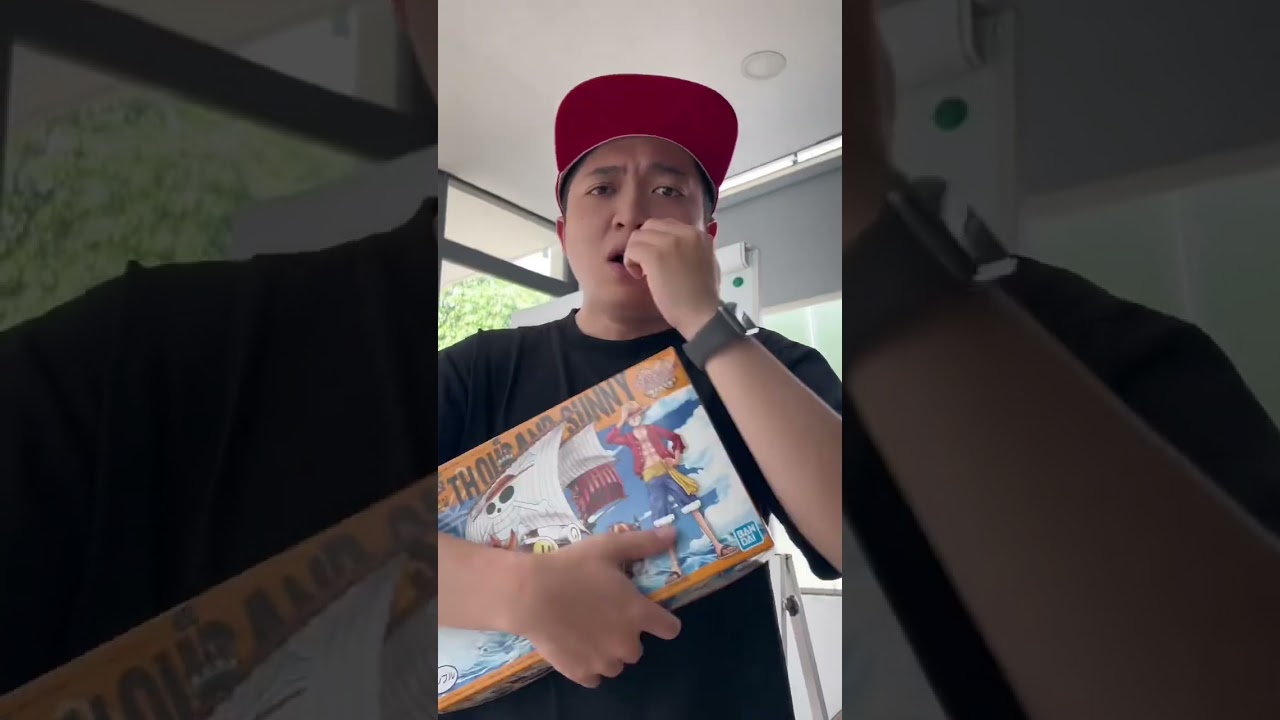 Mua mô hình Tàu One Piece Thoundsand Sunny tặng cho chị Hai, tôi biết được một bí mật bị che giấu