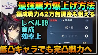 【俺アラ】ハンター低凸でも完凸並に!!!戦力４２万以上可能な戦力爆上げ方法紹介!!!!レベル８０到達後はこれで差をつけよう‼俺だけレベルアップな件:Arise　オレアラ　俺レベ