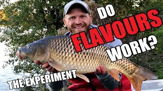 Feeder Fishing for Carp... with Flavourings - The Experiment!... Part one - Rob Wootton