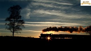 Severn Valley Railway - 7802 'Bradley Manor' Silhouette