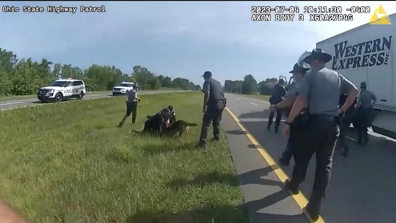 Police Dog's Attack On Black Trucker In Ohio Echoes History - YouTube