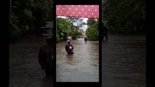 மிக்ஜம் புயல் வெள்ளத்தில் மிதந்த சிந்தாதிரிப்பேட்டை #viral #cyclone #chinthadripet #chennai #migzam