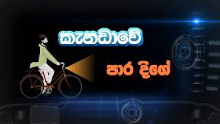 කැනඩාවේ පාර දිගේ-11-Country Road