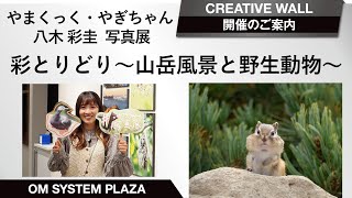 【写真展案内】やまくっく・やぎちゃん 八木 彩圭 写真展「彩とりどり〜山岳風景と野生動物〜」