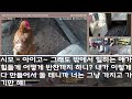 반전 신청사연 신혼여행 중 양가 선물사러 갔더니 시모는 명품가방 사주고 엄마는 가품가방 사준 남편 한번에 나락가는데 사연카페 실화사연 썰