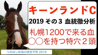 【キーンランドカップ】競馬予想2019 その３ 血統徹底分析 ～札幌1200に強いのは○○の血！特穴を２頭！～