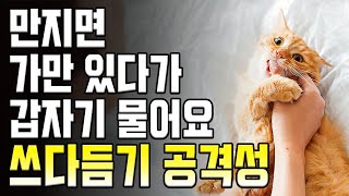 고양이가 만지면 물어요. 스다듬기 공격성.