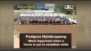 FAQ :60 -- PEDIGREES