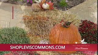 Levis Commons Fall 2020 1