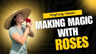 Beautiful Rose Farm at PingTung Taiwan