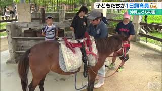 子どもたちがヨナグニウマと触れあい飼育員を体験　沖縄こどもの国