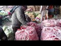 how to make cauliflower 23 january 2025 fruit market faridkot price today