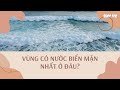 Đáp án cho câu hỏi vì sao biển xanh lại mặn