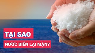 Đáp án cho câu hỏi vì sao biển xanh lại mặn?