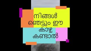 കരയിൽ നിന്നും കടലിലേക്ക്