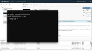 How to login to a vCLS VM?