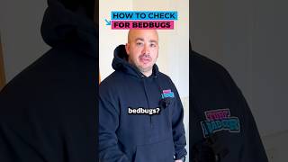 How To Check For Bed Bugs
