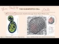 bc pcb 3023 chapter 1 cells the fundamental units of life part 2