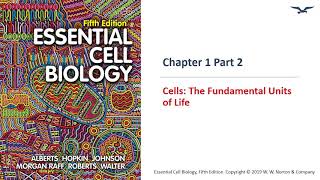 (BC PCB 3023) Chapter 1 Cells The Fundamental Units of Life Part 2