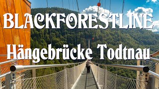 Blackforestline - 450m Hängebrücke und 120m tief I Todtnau Hängebrücke