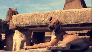 Discover Sumba - Promotional Video A