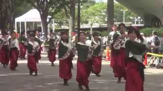 原宿スーパーよさこい２０１４　〈東京都〉乱舞姫　2014.8.24 Harajuku Super Yosakoi