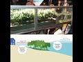 How mangrove forests protect the coast