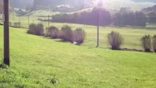 Reichenbach im Schwarzwald / Reichenwald in the Black Forest, Germany