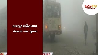 Anand  ના તારાપુર સહિત ભાલ પંથકમાં ગાઢ ધુમ્મસ | Gstv Gujarati News