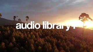 Sunrise - Zackross (No Copyright Music) | Release Preview