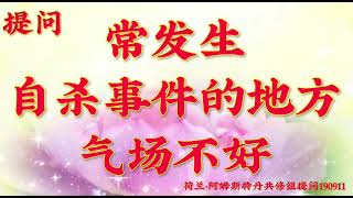 卢台长开示：常发生自杀事件的地方气场不好荷兰・阿姆斯特丹世界佛友见面会提问190911