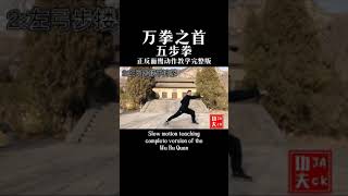 少林功夫五步拳教学-释延军（Shaolin Wu Bu Quan Teaching）