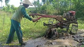 tractor sawah menyingkal luku rumput lebat dan hijau