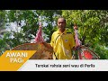 AWANI Pagi: Terokai rahsia seni wau di Perlis