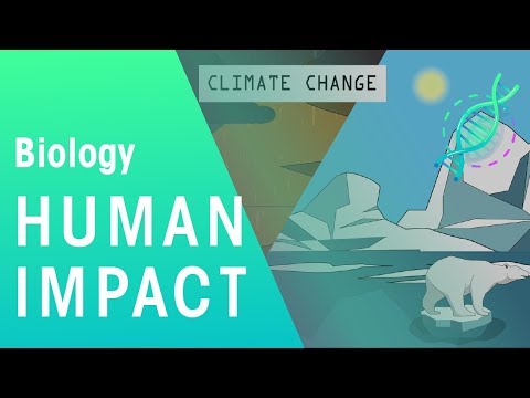 What are the negative effects of human activities on resources?