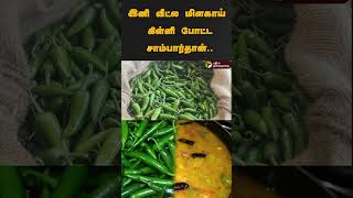 இனி வீட்ல மிளகாய் கிள்ளி போட்ட சாம்பார்தான்.. | #shorts | #greenchilli | #andipatti | #theni