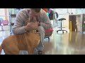 To the Rescue: Pets Healing Vets