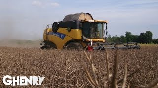 New Holland CX 8050 - Trebbiatura Colza GoPro [HD]